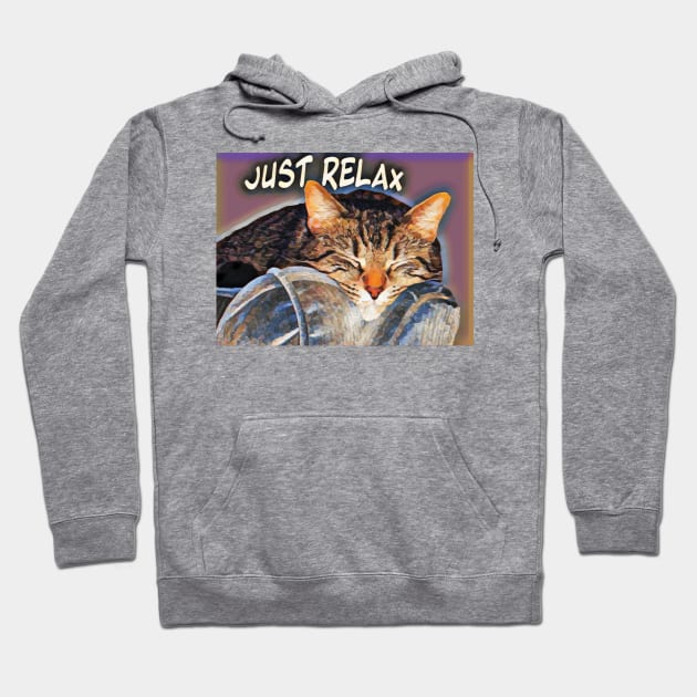 Super cute just relax cat picture Hoodie by PandLCreations